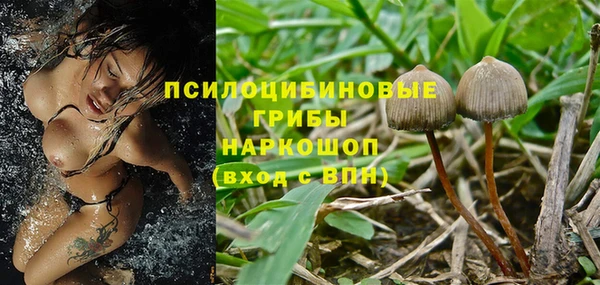метамфетамин Покачи