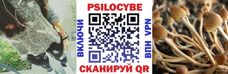 наркота  Ветлуга  Псилоцибиновые грибы Magic Shrooms 